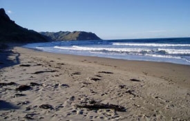 beautiful beaches of Hawke's Bay